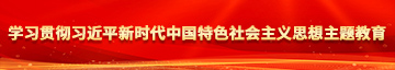 操骚穴影像学习贯彻习近平新时代中国特色社会主义思想主题教育